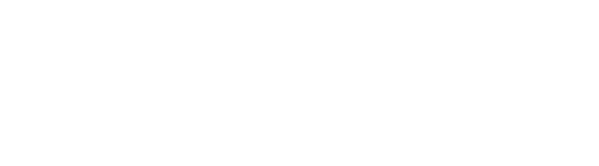 skynetsolutions.lk